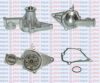 AQUAPLUS 85-1540 Water Pump